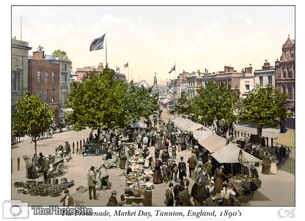 The promenade, Market Day, Tannton, England - Click Image to Close