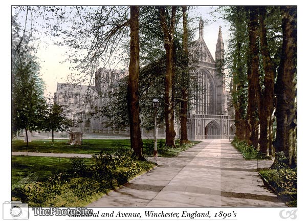 Winchester Cathedral and Avenue, England - Click Image to Close