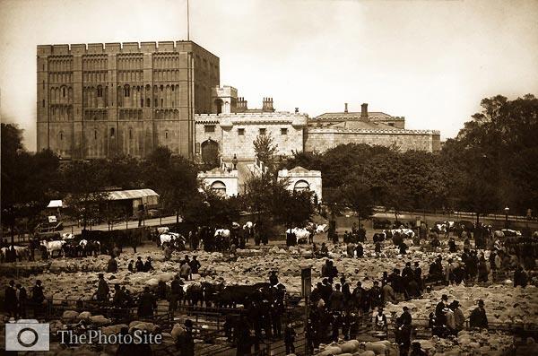 Norwich. Cattle Market and Castle victorian era - Click Image to Close
