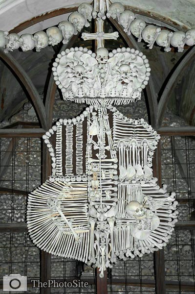Bone shield decoration - Click Image to Close
