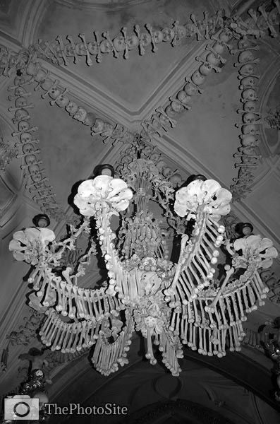Bone Chandelier, The Church of Bones - Click Image to Close