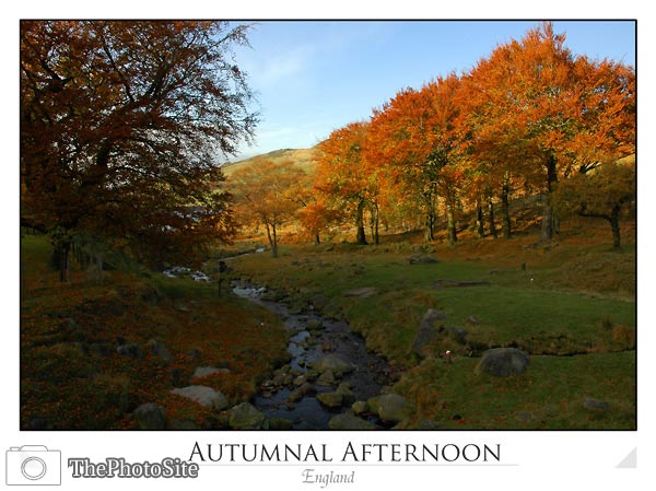 Autumnal Afternoon - Click Image to Close