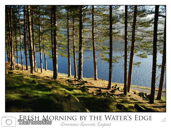 Fresh Morning by the Water's Edge - Click Image to Close