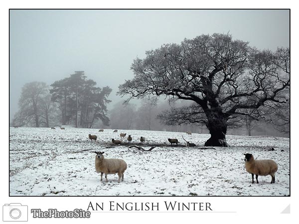 An English Winter - Click Image to Close