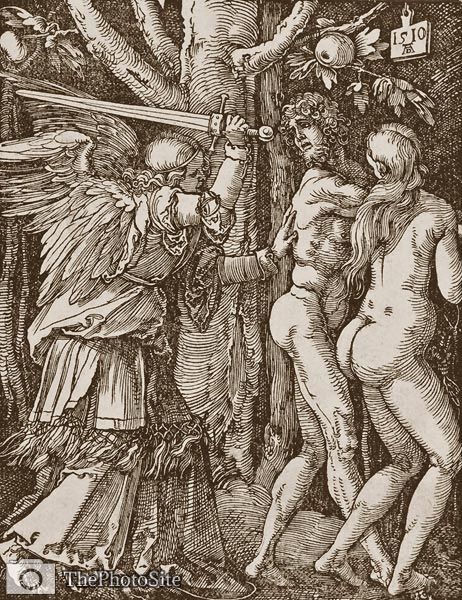 Adam and Eve by Albrecht Durer - Click Image to Close