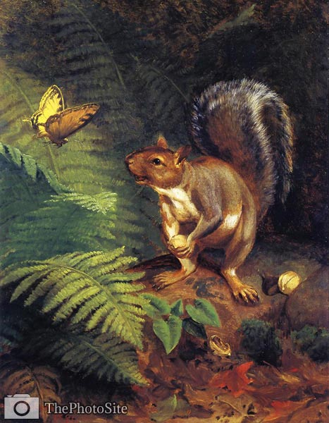 How Beautiful, Squirrel by William Beard - Click Image to Close