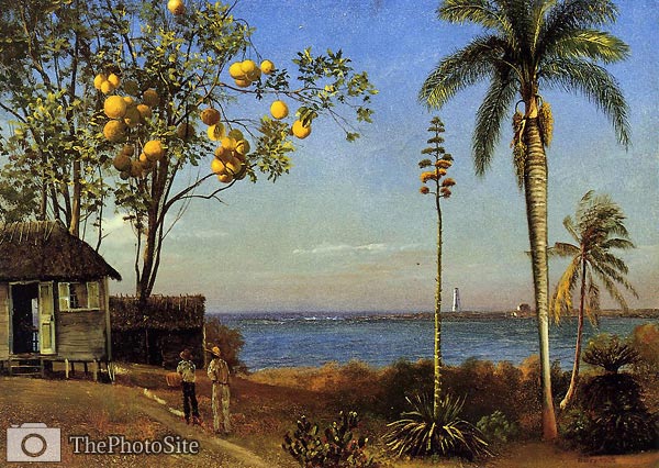 A View in the Bahamas Albert Bierstadt - Click Image to Close