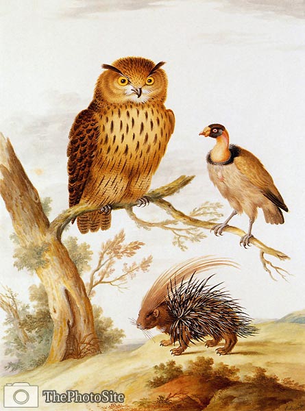 Pocupine and owl by Johannes Bronkhorst - Click Image to Close