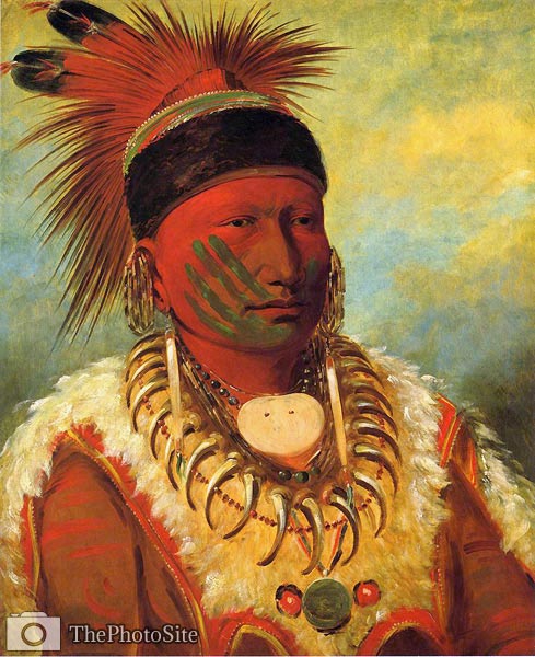 The White Cloud, Head Chief of the Iowas George Catlin - Click Image to Close