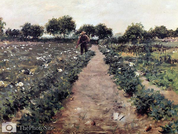 The Potato Patch aka Garden, Shinnecock William Merritt Chase - Click Image to Close