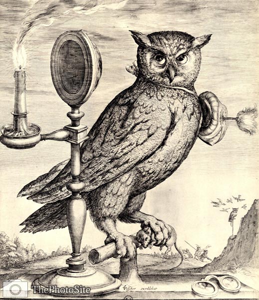 Owl by Johann Bernhard Fischer - Click Image to Close