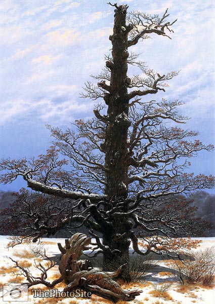 Oak tree in the snow Caspar David Friedrich - Click Image to Close