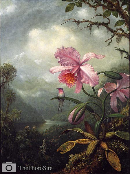 Hummingbird Perched on an Orchid Plant Martin Heade - Click Image to Close