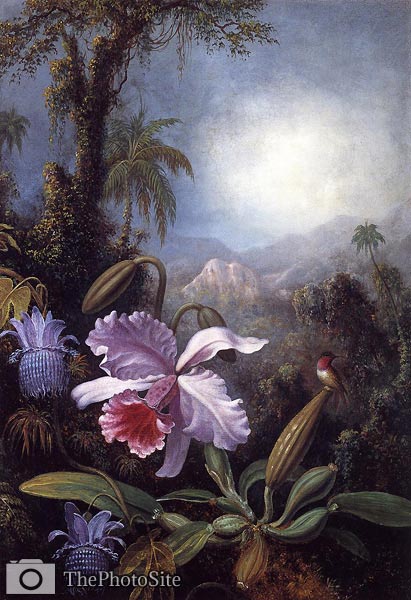 Orchids, Passion Flowers and Hummingbird Martin Johnson Heade - Click Image to Close