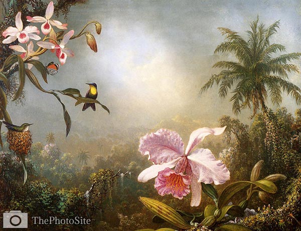 Orchids, Nesting Hummingbirds and a Butterfly Martin Heade - Click Image to Close