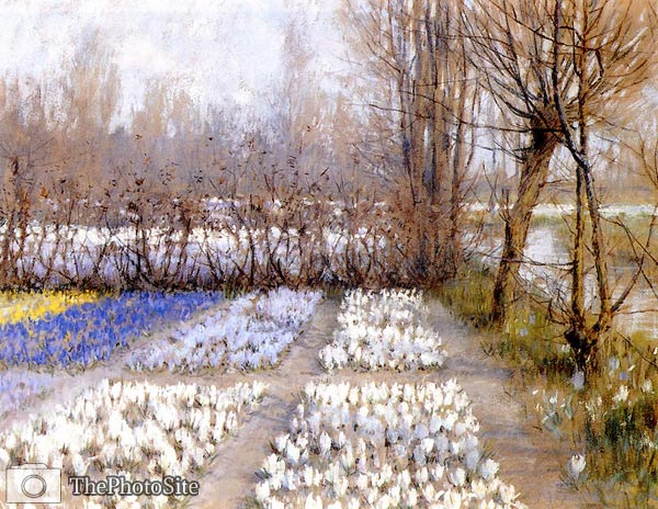 Spring Crosuc Fields by George Hitchcock - Click Image to Close