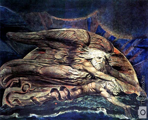 Elohim Creating Adam William Blake - Click Image to Close