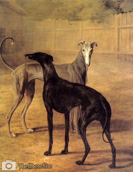 Rolla and Portia (greyhounds) Jacques Laurent Agasse - Click Image to Close