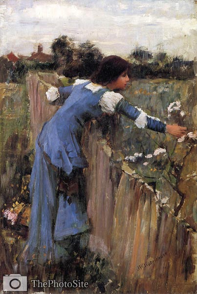 The flower picker J.W. Waterhouse - Click Image to Close