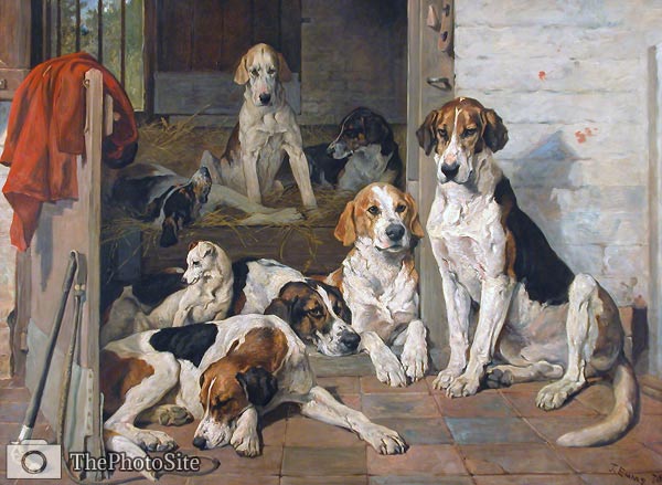 Foxhounds and Terrier in a Stable Interio John Emms - Click Image to Close