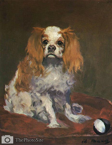 A King Charles Spaniel Edouard Manet - Click Image to Close