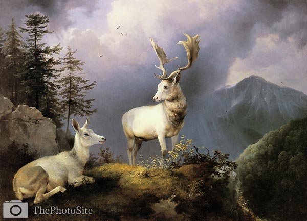 White Deer and Hind in Alpine Landscape Friedrich Gauermann - Click Image to Close