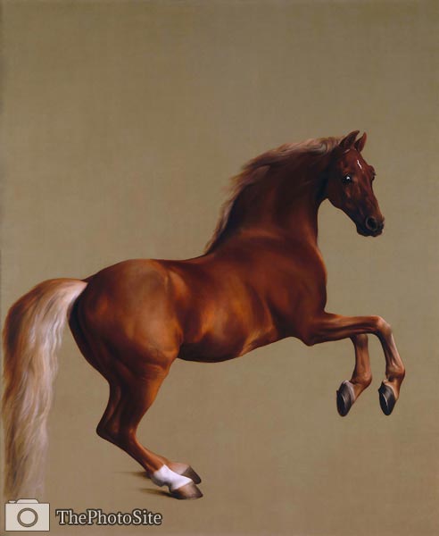 Whistlejacket George Stubbs - Click Image to Close