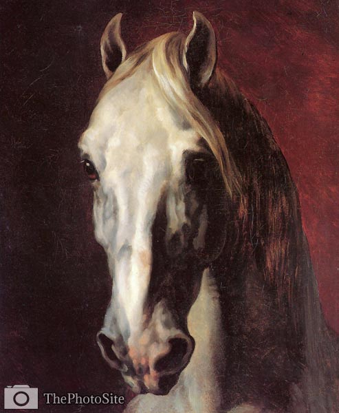 Head of a white horse Theodore Gericault - Click Image to Close