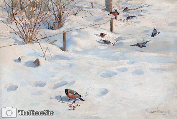 Bullfinch in Winter Landscape Gunnar Aberg - Click Image to Close