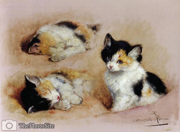 Studies of a kitten Henriette Ronner-Knip - Click Image to Close