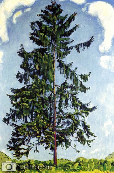 Fir by Chamby Ferdinand Hodler - Click Image to Close
