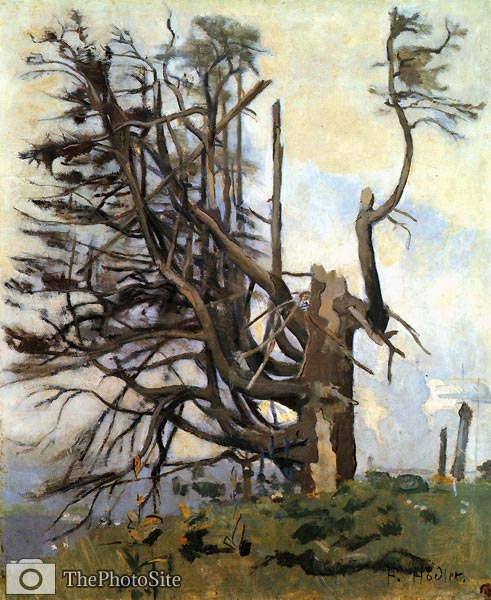 Weathered Fir Tree Ferdinand Hodler - Click Image to Close