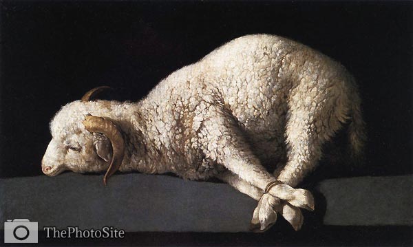 Lamb of God Francisco Zurbaran - Click Image to Close