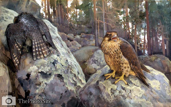 Hawks in the Forest Eero Jarnefelt - Click Image to Close