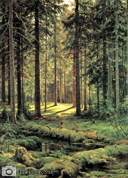 Coniferous Forest. Sunny Day Shishkin, Ivan Ivanovich - Click Image to Close