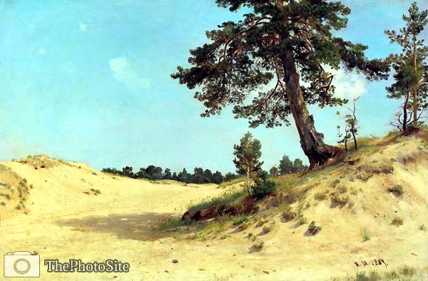 Pine on Sand Shishkin, Ivan Ivanovich - Click Image to Close