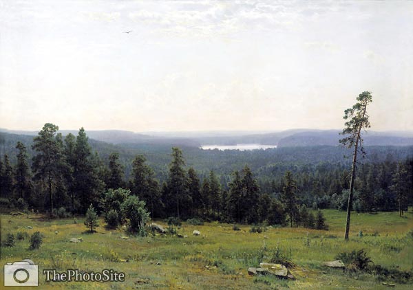 The Forest Horizons Shishkin, Ivan Ivanovich - Click Image to Close
