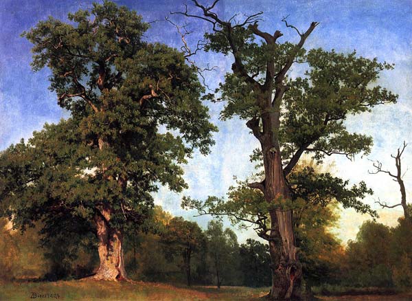 Pioneers of the woods 1858, Albert Bierstadt - Click Image to Close