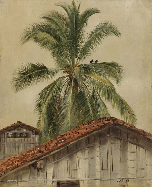 Palm Trees and Housetops, Ecuador - Click Image to Close