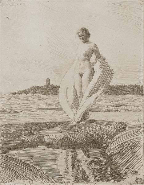 Anders Zorn The Swan - Click Image to Close