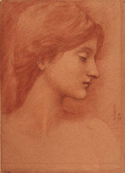 Study of a Female Head - Click Image to Close