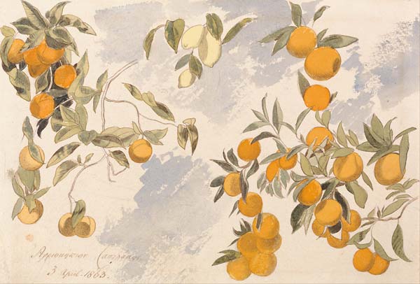 Fruit trees, 3 April 1863 - Click Image to Close