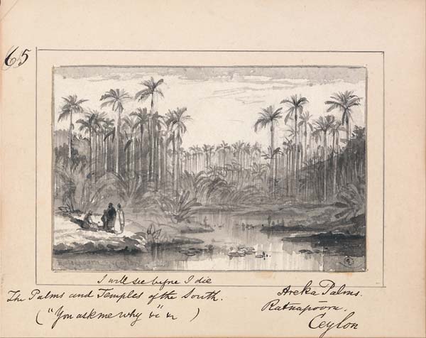 You Ask Me Why Areka Palms, Ratanapooru, Ceylon - Click Image to Close