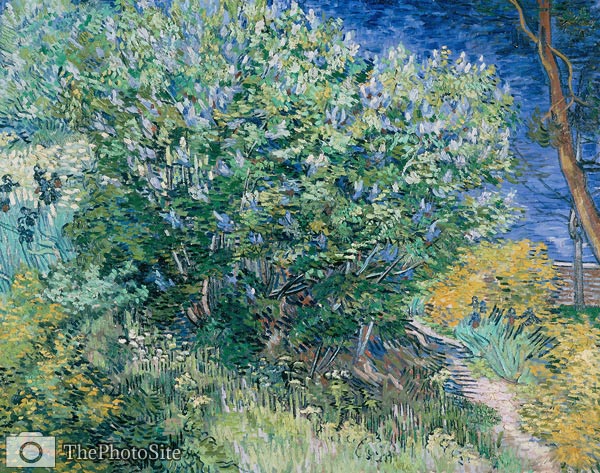 Lilac Bush Vincent van Gogh - Click Image to Close