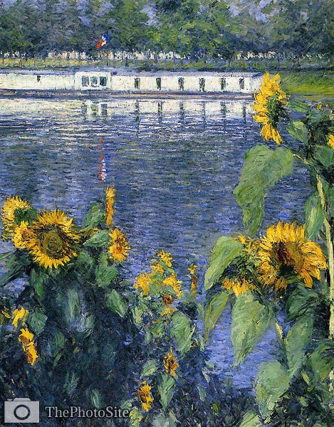 Sunflowers on the Banks of the Seine Gustave Caillebotte - Click Image to Close