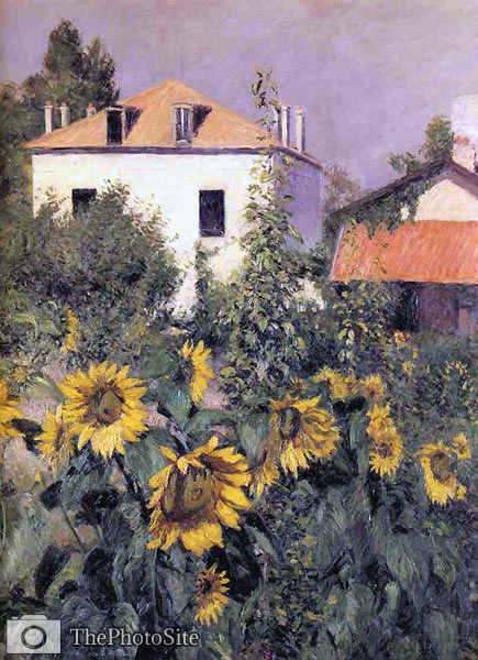 Sunflowers, Garden at Petit Gennevilliers Gustave Caillebotte - Click Image to Close