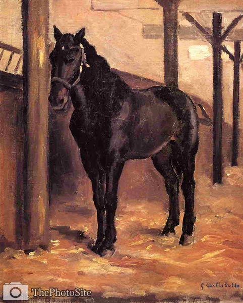Yerres, Dark Bay Horse in the Stable Gustave Caillebotte - Click Image to Close