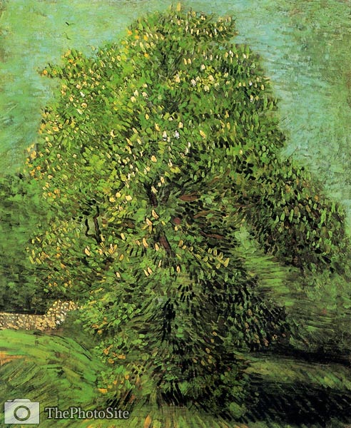 Chestnut Tree in Blossom Van Gogh - Click Image to Close