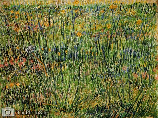 Pasture in Bloom Vincent Van Gogh - Click Image to Close
