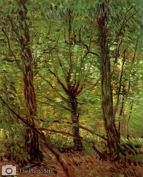 Trees and Undergrowth Van Gogh - Click Image to Close